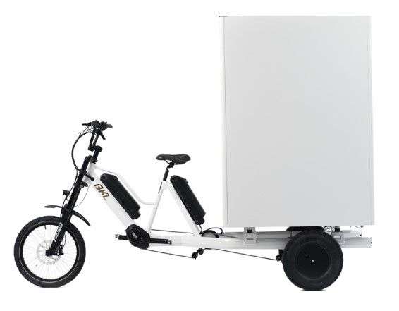 BKL Box 1500 y Hulk Drive Cargo ebike