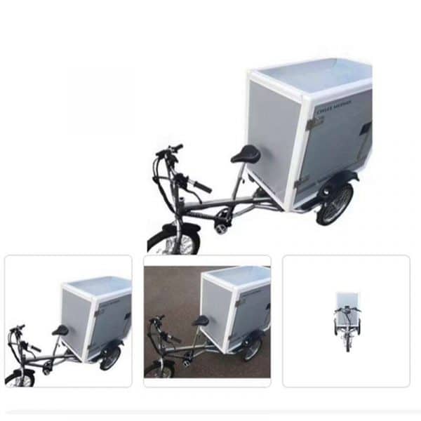 Cycles Maximus MiniVanTrike Cargobike Eléctrica