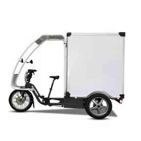 Bayk Bring S Cargo Bike Eléctrica para Delivery PACK PREMIUM