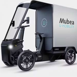 MUBEA Cargo Pack Cuadriciclo Electrico de Carga Pedaleo Asistido